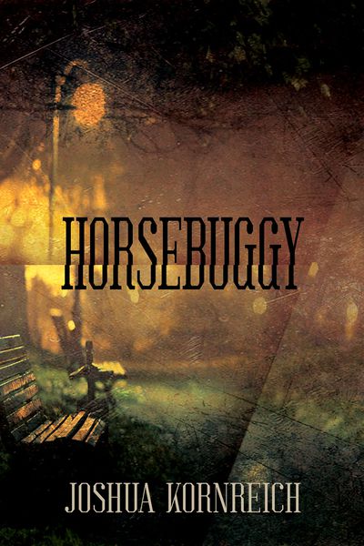 Horsebuggy Cover