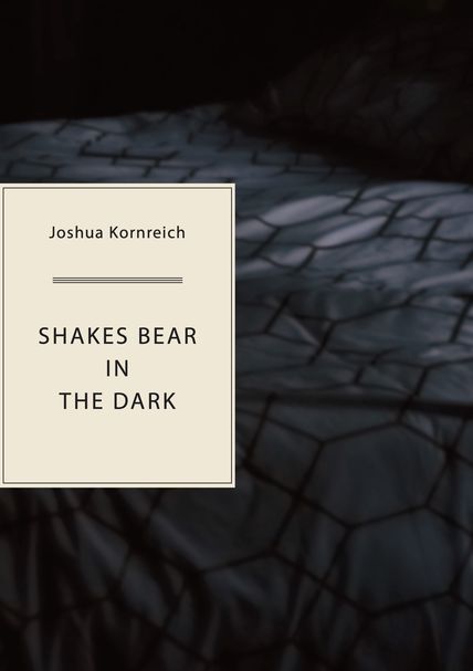 Cover design by Anne Marie Hantho Shakes Bear in the Dark Cover