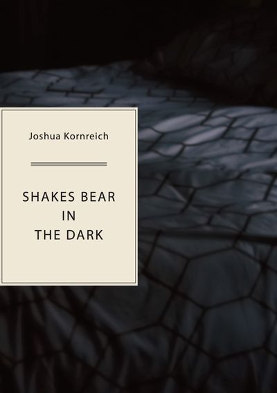Shakes Bear in the Dark Cover