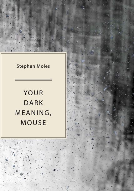 Cover design by Anne Marie Hantho Your Dark Meaning, Mouse Cover
